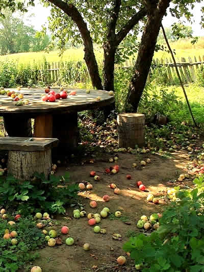 Peaceful orchard at a Russian dacha with apple trees and a rustic wooden table in the Russian countryside